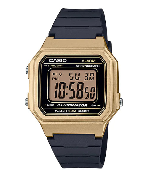 Casio W-217HM