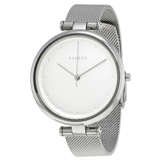 RELOJ SKAGEN SKW2485